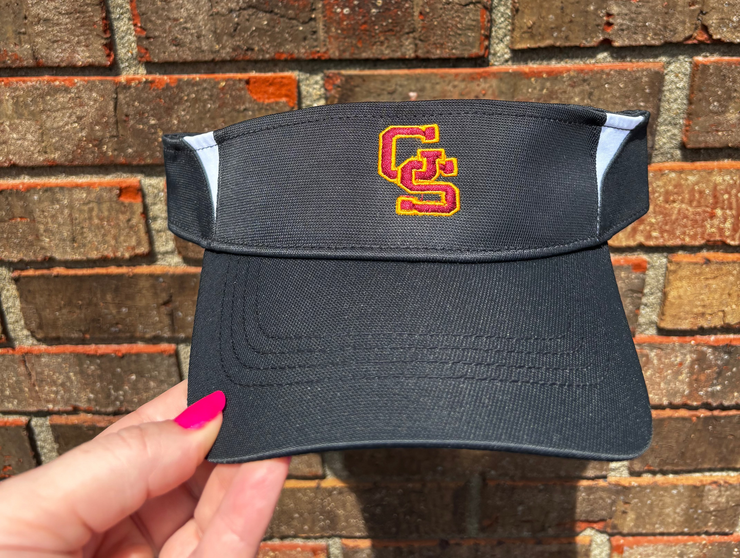 GS Visor